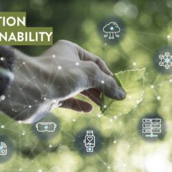 Consorzio DAFNE pubblica il suo primo Bilancio di Sostenibilità