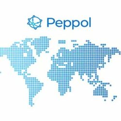 Peppol Spring Release 2021 e impatti sui fornitori del SSN (NSO)